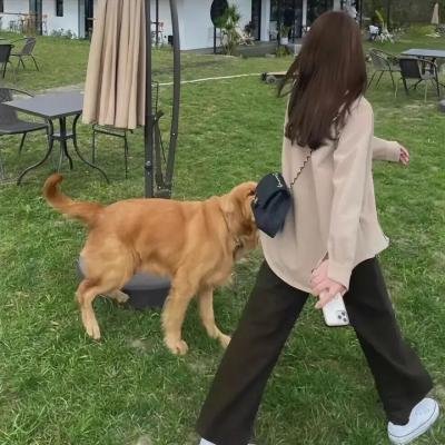 吉什岛的故事